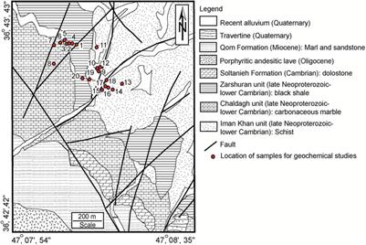 Remediation of heavy metals by native plant species grown in Iran’s richest gold mine and study of plants’ pollution tolerance strategies